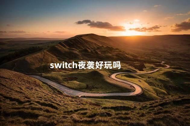 switch夜袭好玩吗