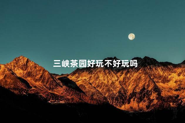 三峡茶园好玩不好玩吗