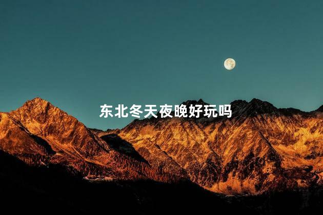 东北冬天夜晚好玩吗