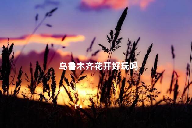 乌鲁木齐花开好玩吗