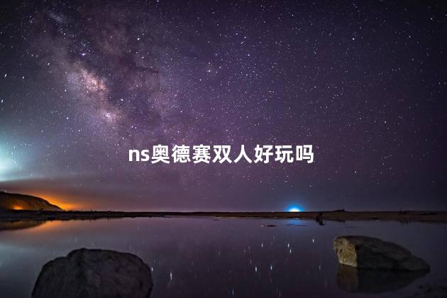 ns奥德赛双人好玩吗