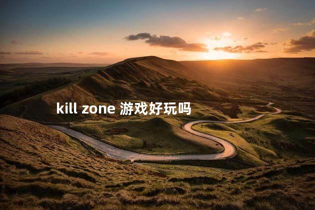 kill zone 游戏好玩吗