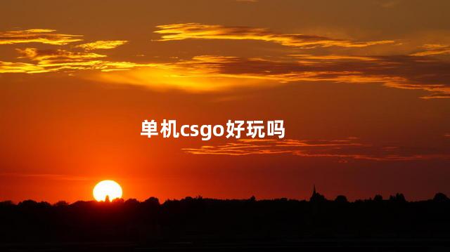 单机csgo好玩吗
