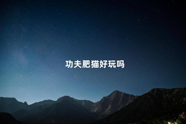 功夫肥猫好玩吗