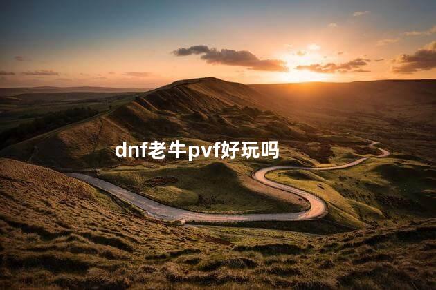 dnf老牛pvf好玩吗