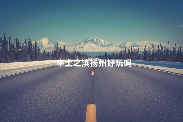率土之滨扬州好玩吗