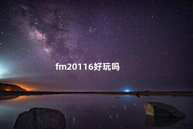 fm20116好玩吗