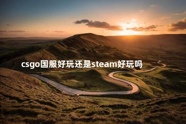 csgo国服好玩还是steam好玩吗
