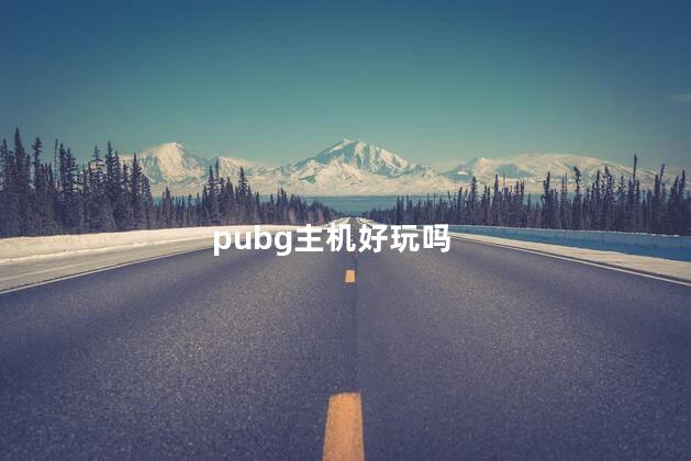 pubg主机好玩吗