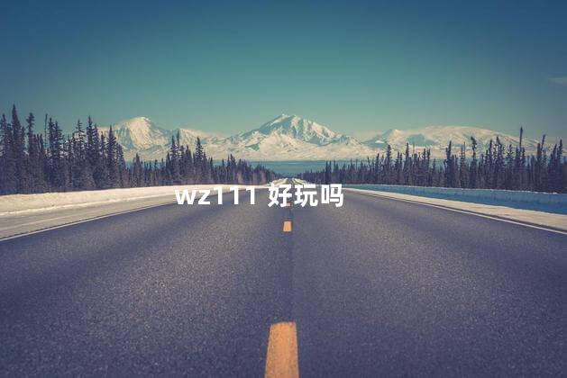 wz111 好玩吗