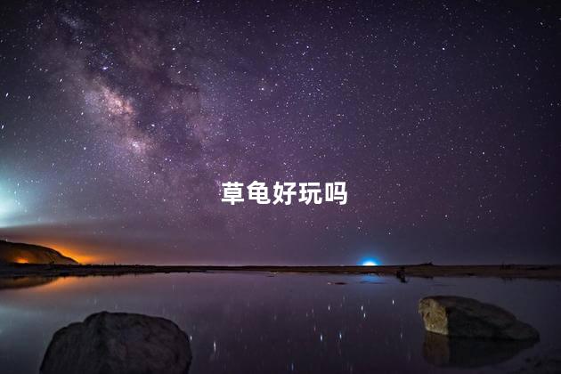 草龟好玩吗