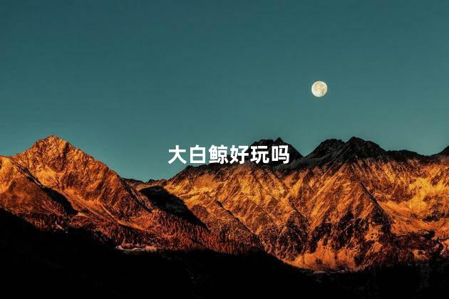 大白鲸好玩吗