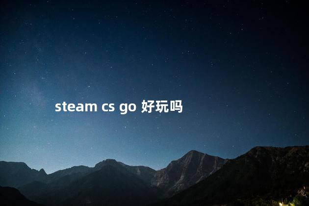 steam cs go 好玩吗
