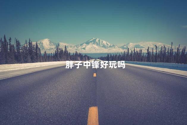 胖子中锋好玩吗