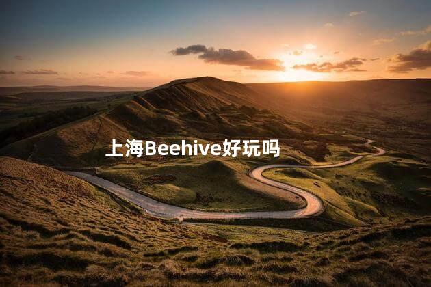 上海Beehive好玩吗