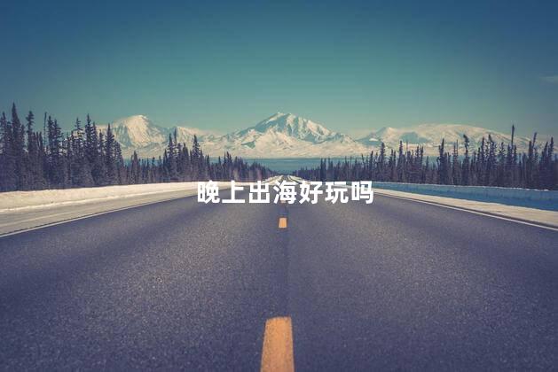 晚上出海好玩吗