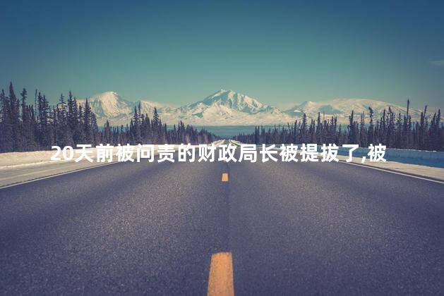 20天前被问责的财政局长被提拔了，被问责的财政局长升职了吗