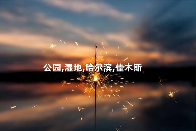 佳木斯外滩公园好玩吗 哈尔滨外滩湿地公园
