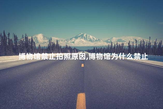 博物馆禁止拍照原因，博物馆为什么禁止拍照