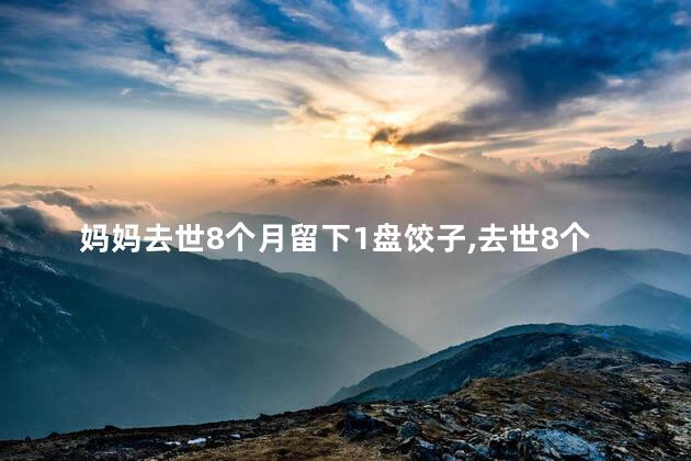 妈妈去世8个月留下1盘饺子，去世8个月没人知道吗