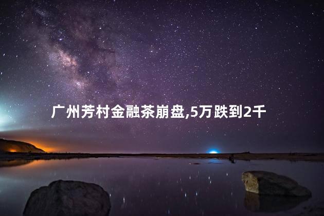 广州芳村金融茶崩盘，5万跌到2千