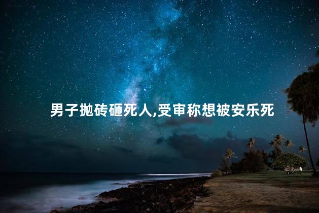 男子抛砖砸死人，受审称想被安乐死