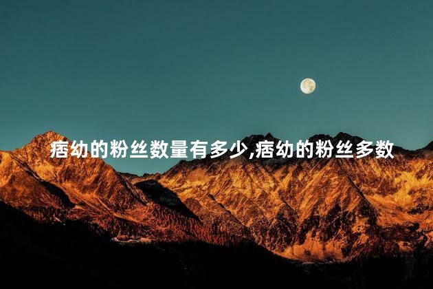 痞幼的粉丝数量有多少，痞幼的粉丝多数是什么人