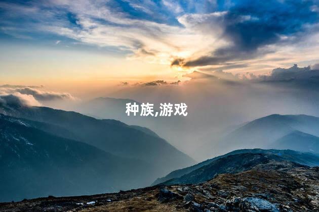 兽人盗贼种族好玩吗 魔兽60亡灵盗贼和兽人盗贼