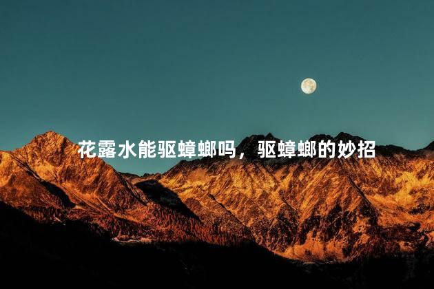 花露水能驱蟑螂吗，驱蟑螂的妙招