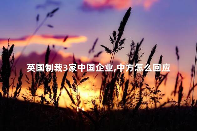 英国制裁3家中国企业，中方怎么回应
