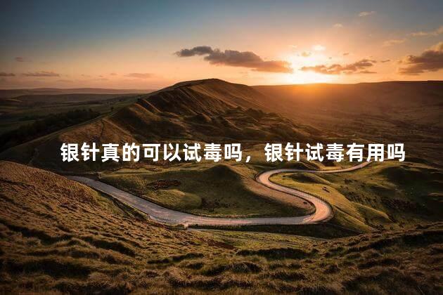 银针真的可以试毒吗，银针试毒有用吗